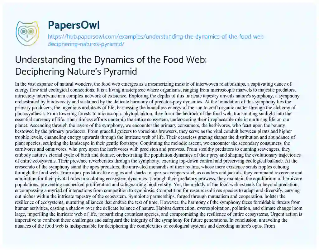 Essay on Understanding the Dynamics of the Food Web: Deciphering Nature’s Pyramid