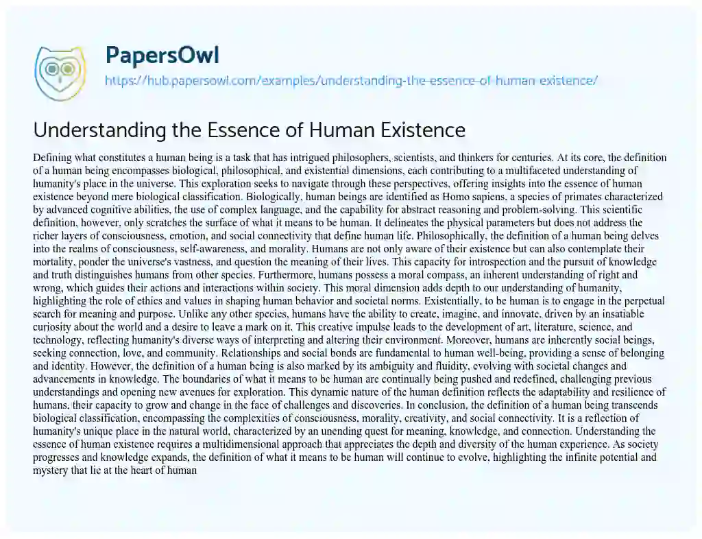 Essay on Understanding the Essence of Human Existence