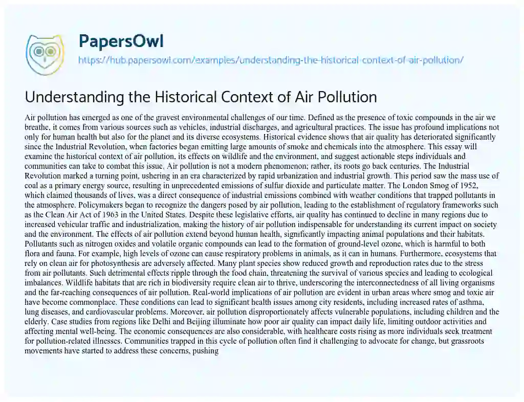 Essay on Understanding the Historical Context of Air Pollution