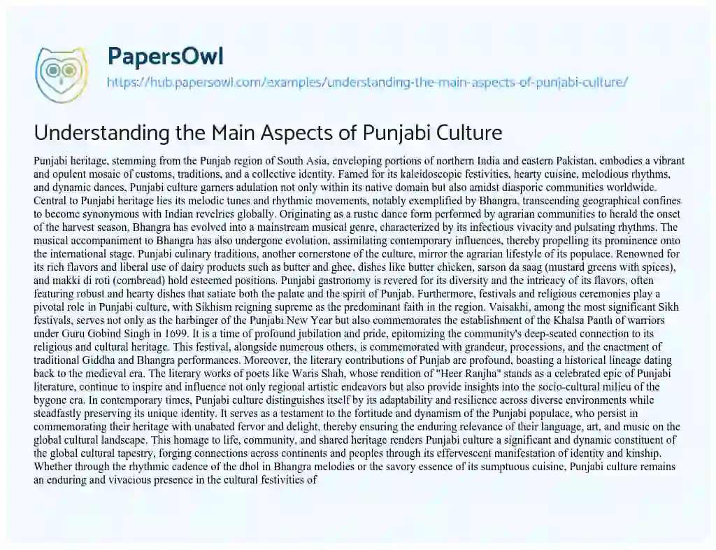 Essay on Understanding the Main Aspects of Punjabi Culture