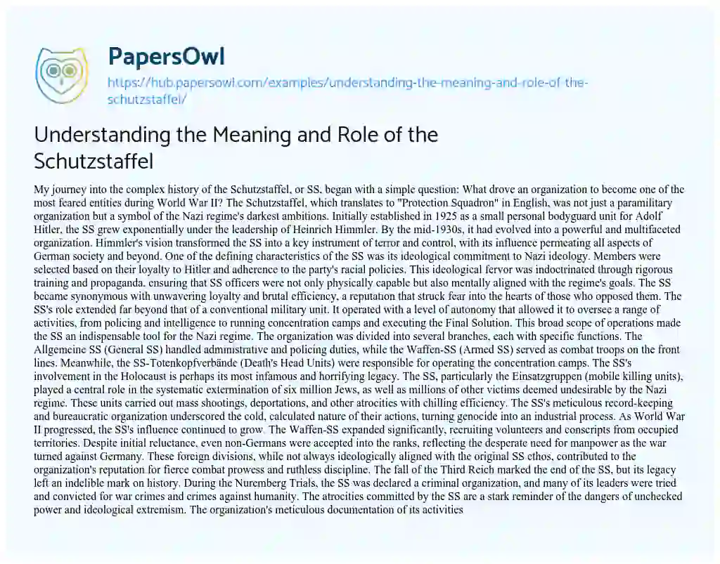 Essay on Understanding the Meaning and Role of the Schutzstaffel