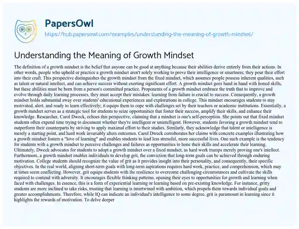 Essay on Understanding the Meaning of Growth Mindset