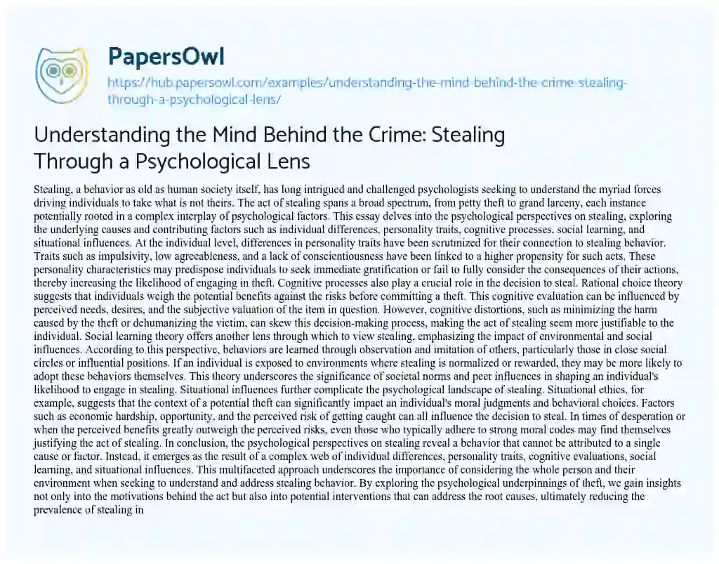 Essay on Understanding the Mind Behind the Crime: Stealing Through a Psychological Lens