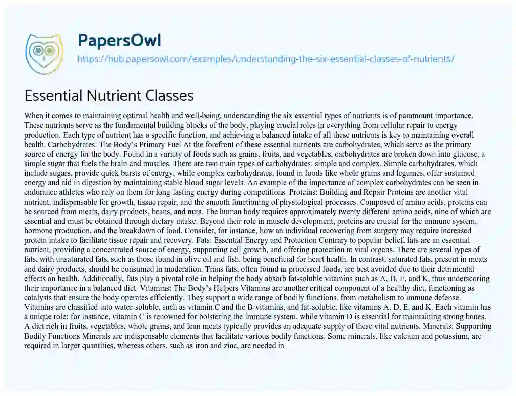 Essay on Essential Nutrient Classes