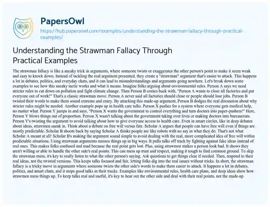 Essay on Understanding the Strawman Fallacy Through Practical Examples