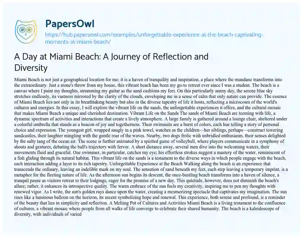 Essay on A Day at Miami Beach: A Journey of Reflection and Diversity