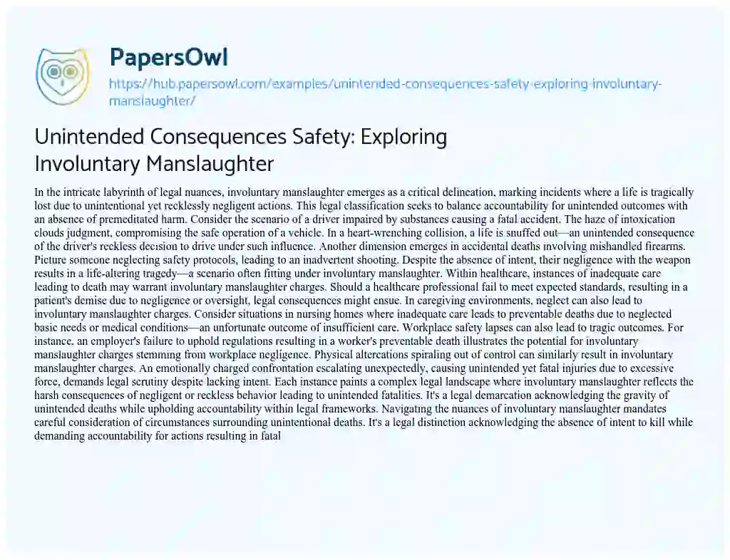 Essay on Unintended Consequences Safety: Exploring Involuntary Manslaughter