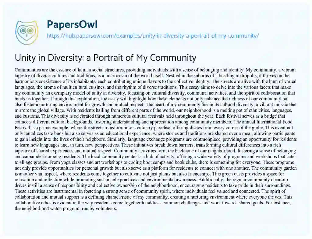 Essay on Unity in Diversity: a Portrait of My Community