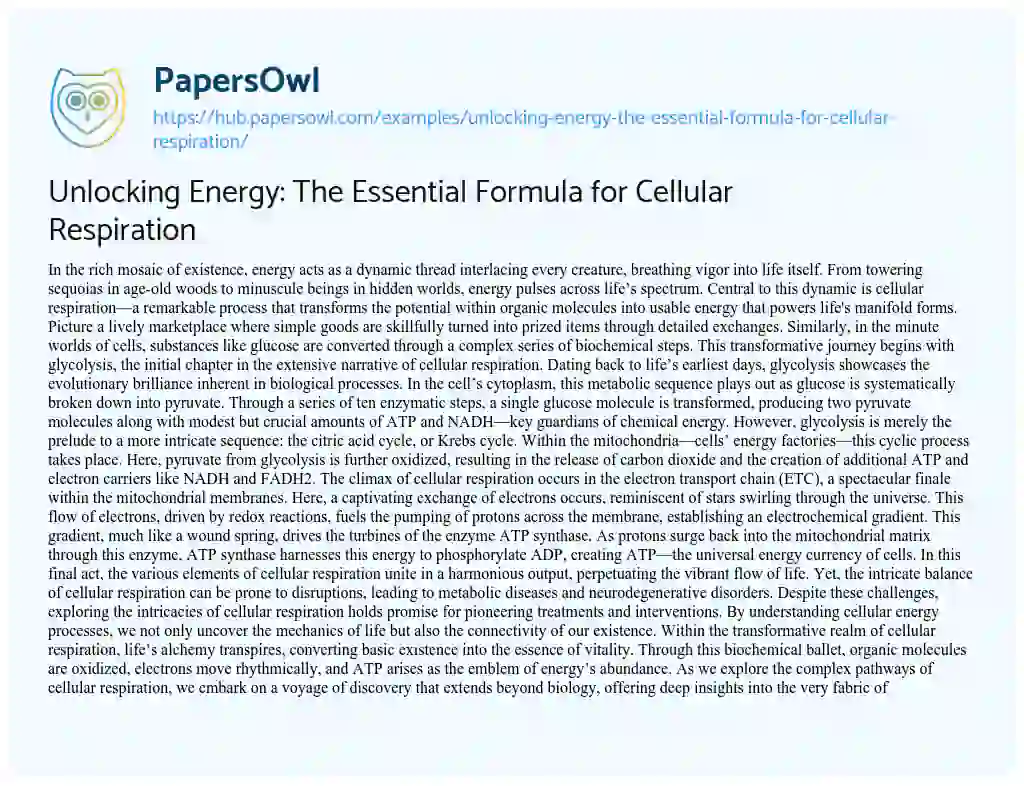 Essay on Unlocking Energy: The Essential Formula for Cellular Respiration