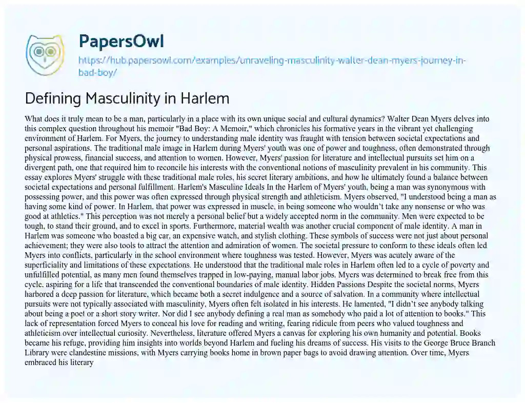 Essay on Defining Masculinity in Harlem