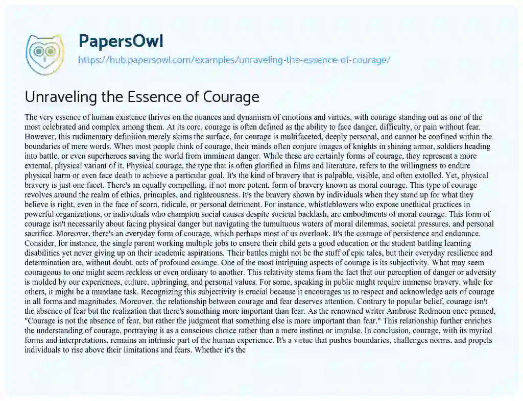 Essay on Unraveling the Essence of Courage