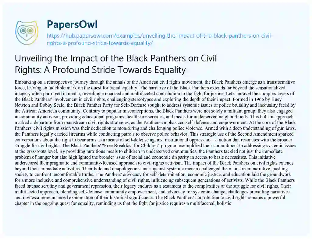 Essay on Unveiling the Impact of the Black Panthers on Civil Rights: A Profound Stride Towards Equality