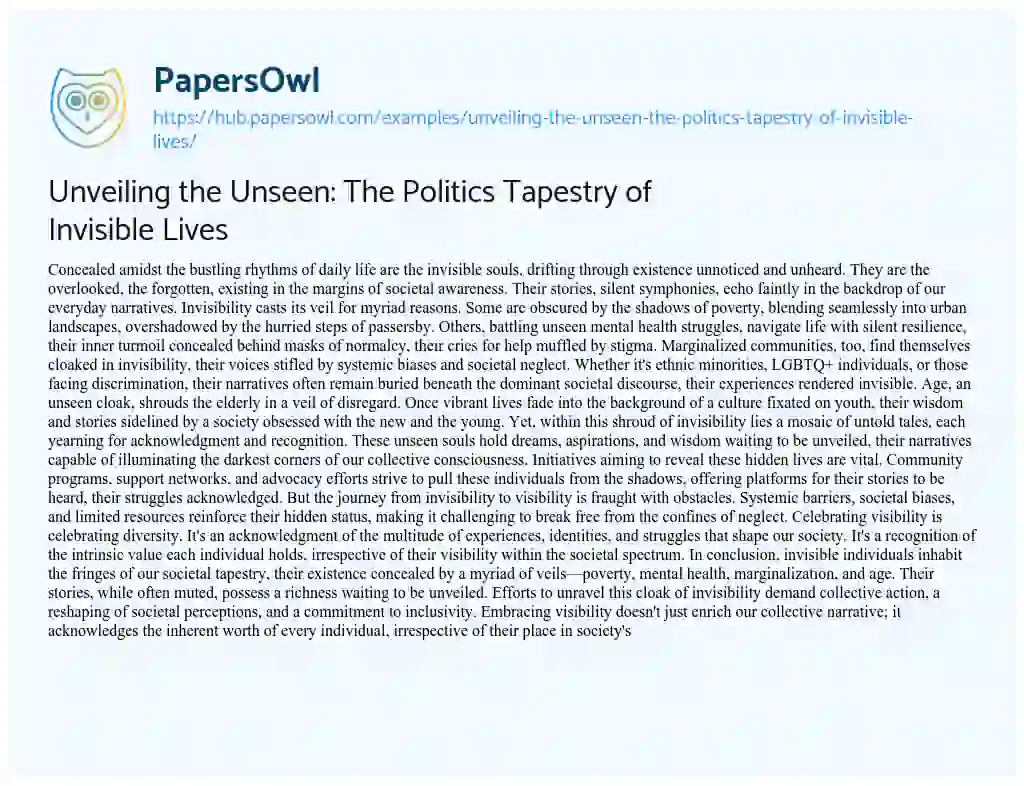 Essay on Unveiling the Unseen: The Politics Tapestry of Invisible Lives