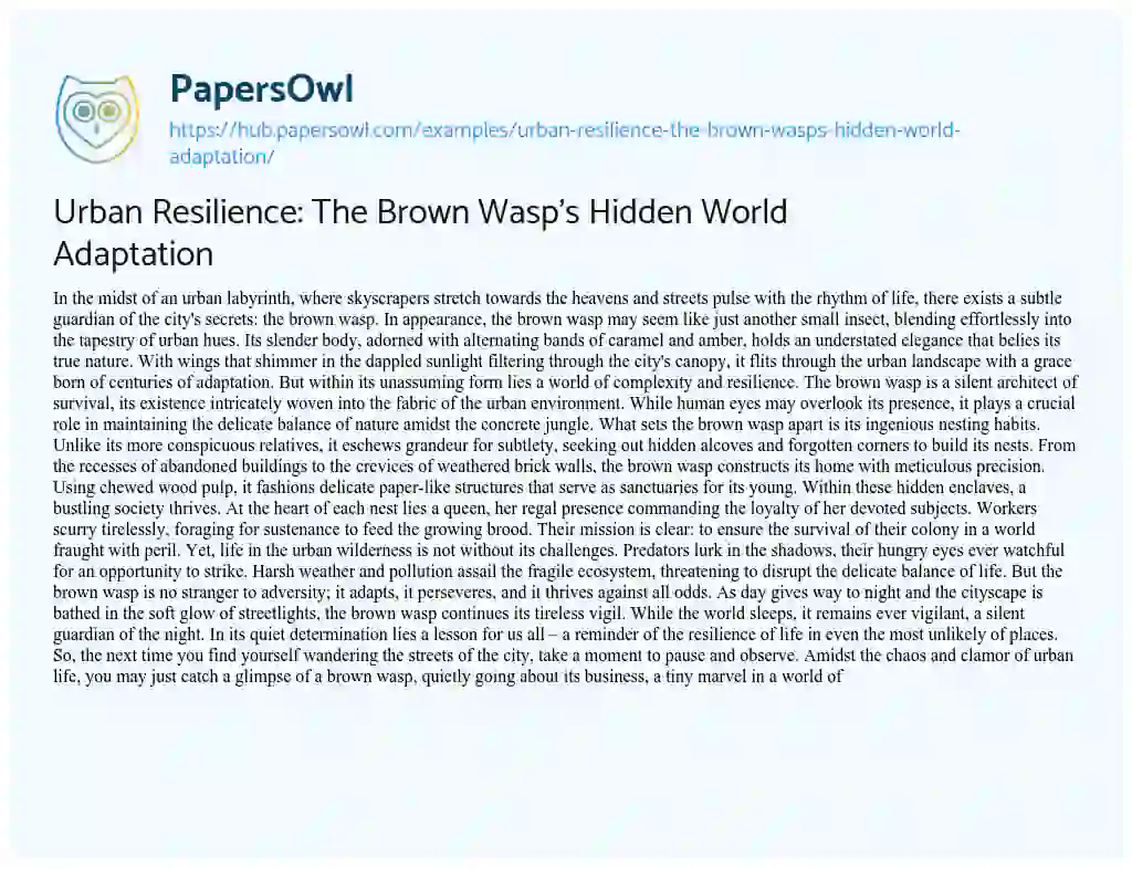 Essay on Urban Resilience: The Brown Wasp’s Hidden World Adaptation