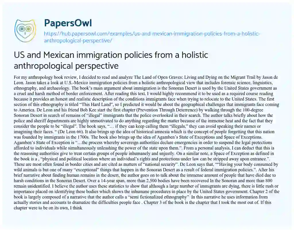 Essay on US and Mexican immigration policies from a holistic anthropological perspective
