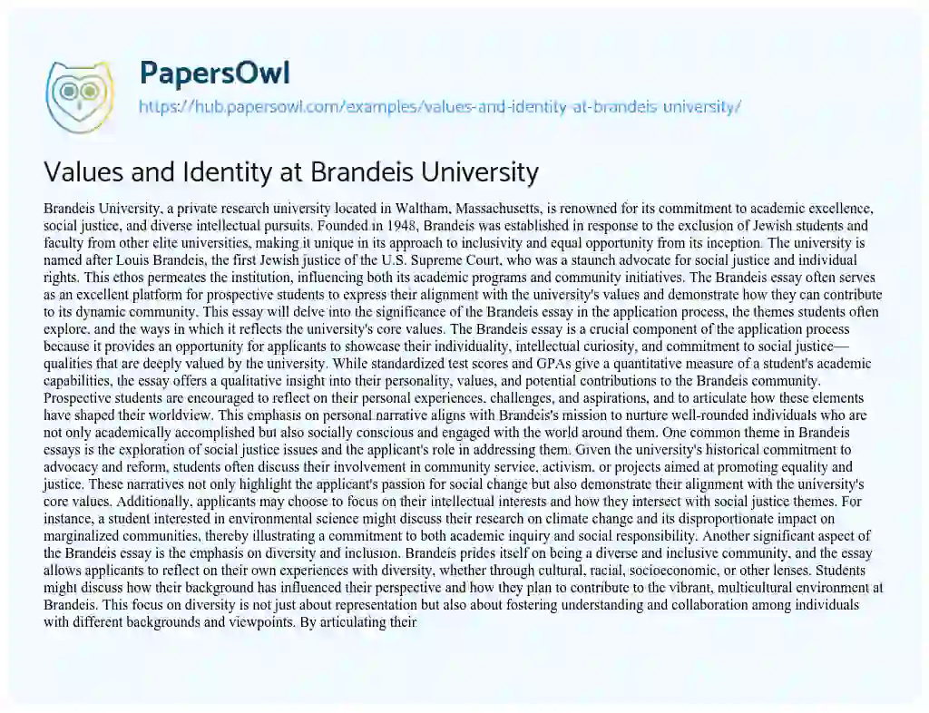 Essay on Values and Identity at Brandeis University