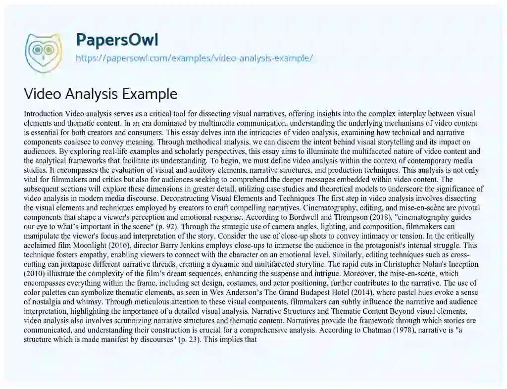 Essay on Video Analysis Example