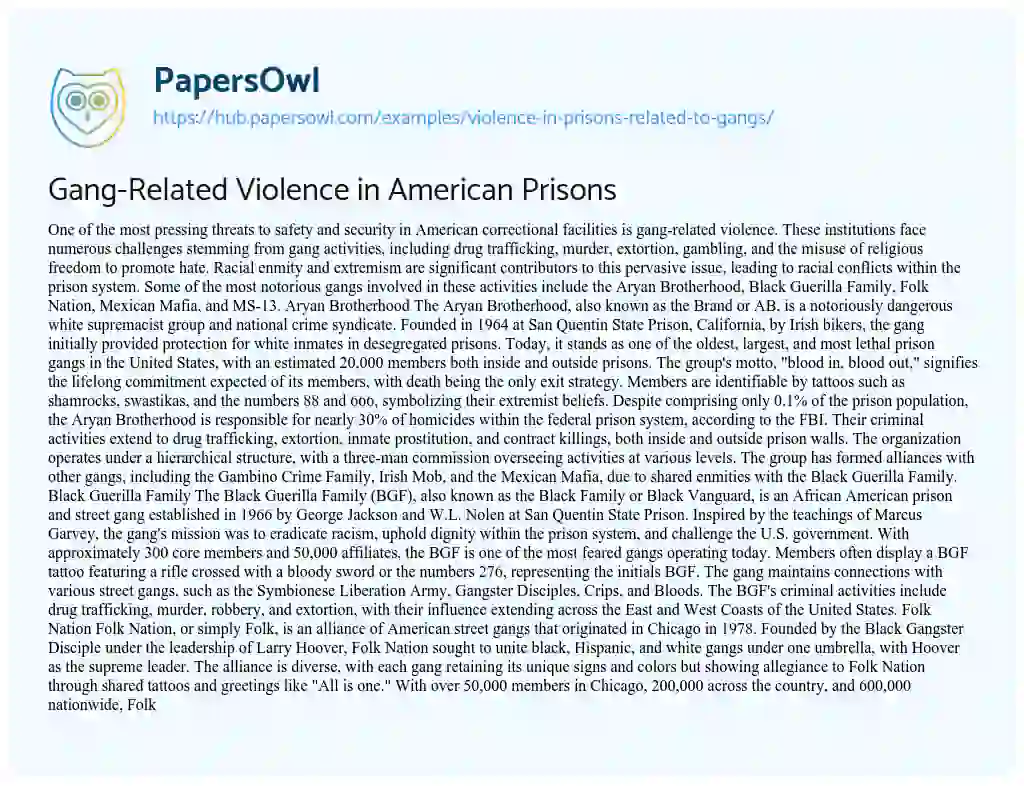 Essay on Gang-Related Violence in American Prisons