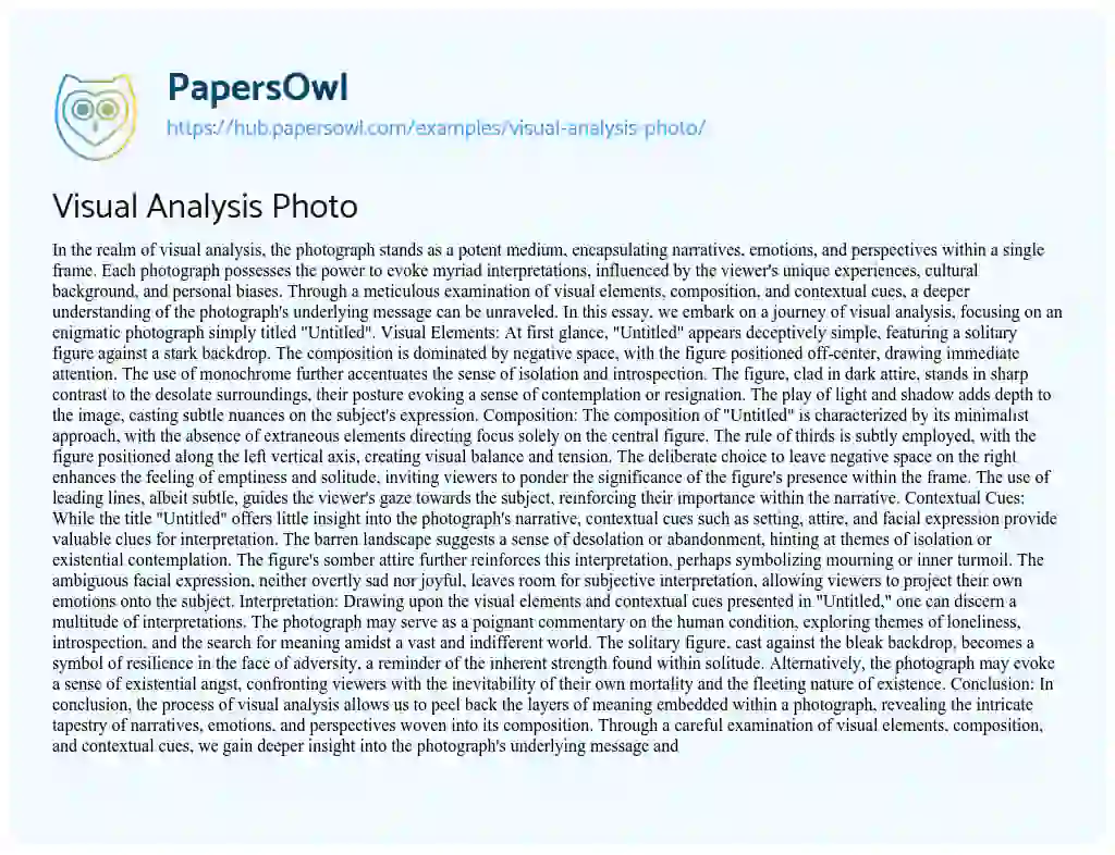 Essay on Visual Analysis Photo