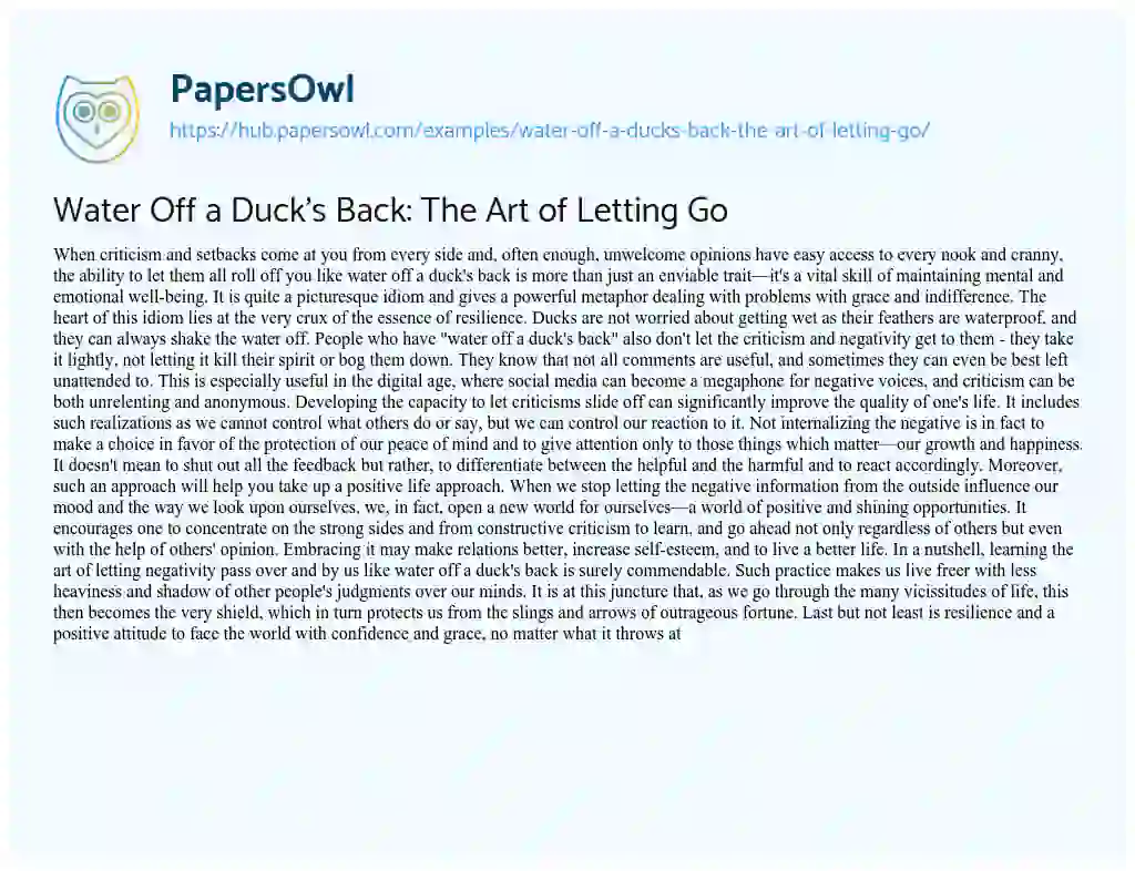 Essay on Water Off a Duck’s Back: The Art of Letting Go