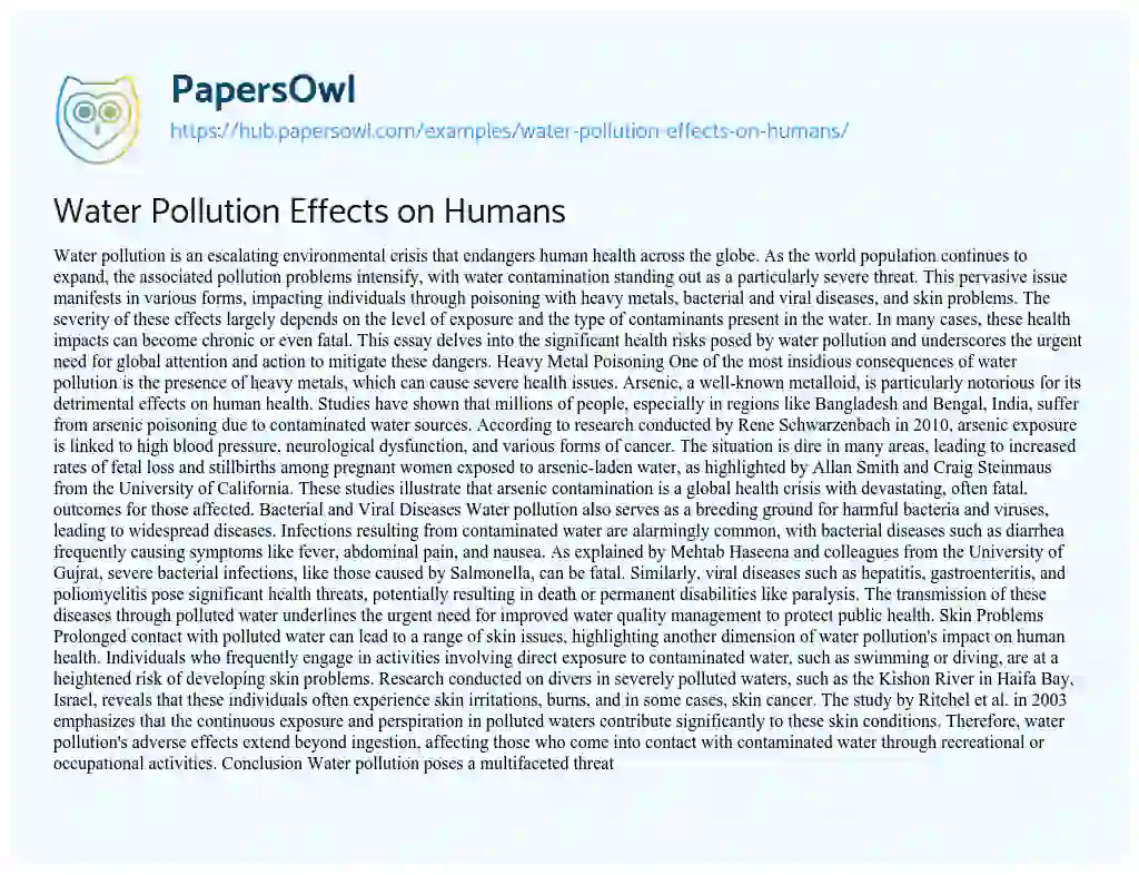 Essay on Water Pollution Effects on Humans