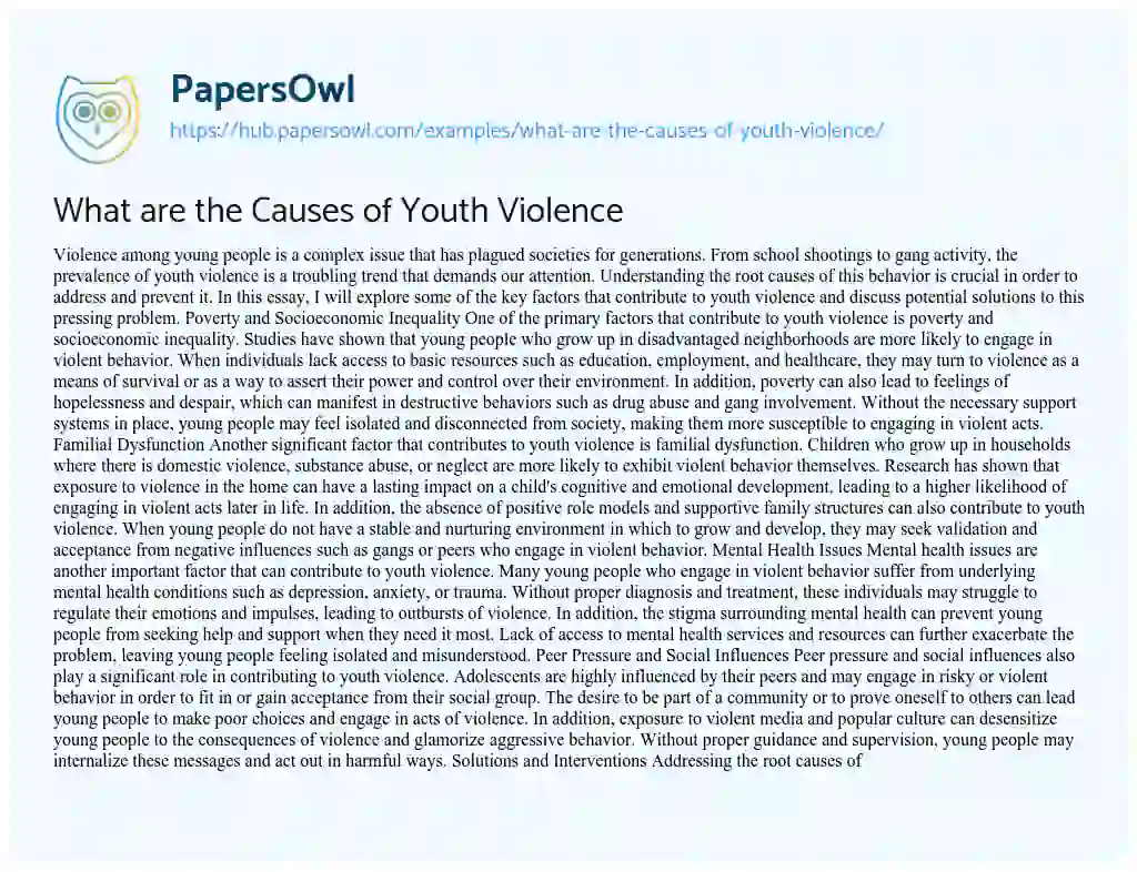 Essay on What are the Causes of Youth Violence