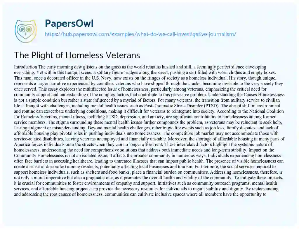 Essay on The Plight of Homeless Veterans