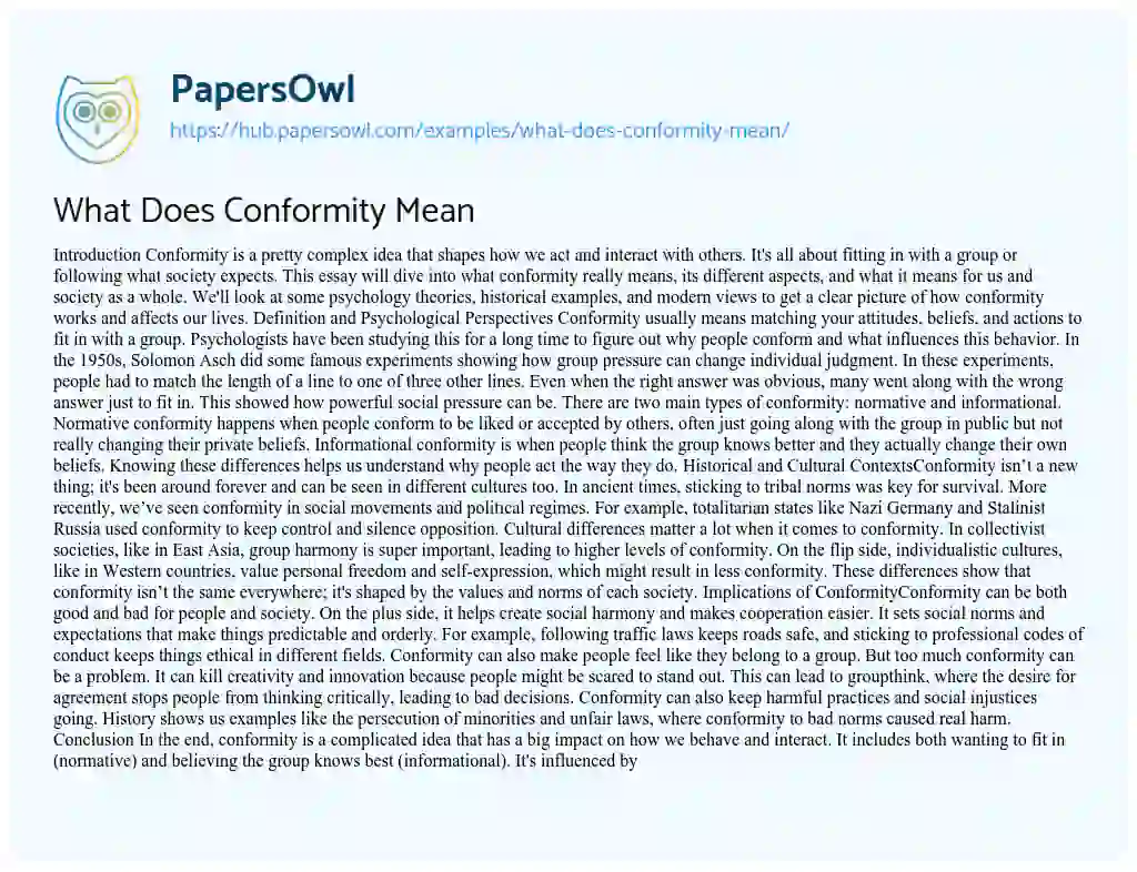 Essay on What Does Conformity Mean