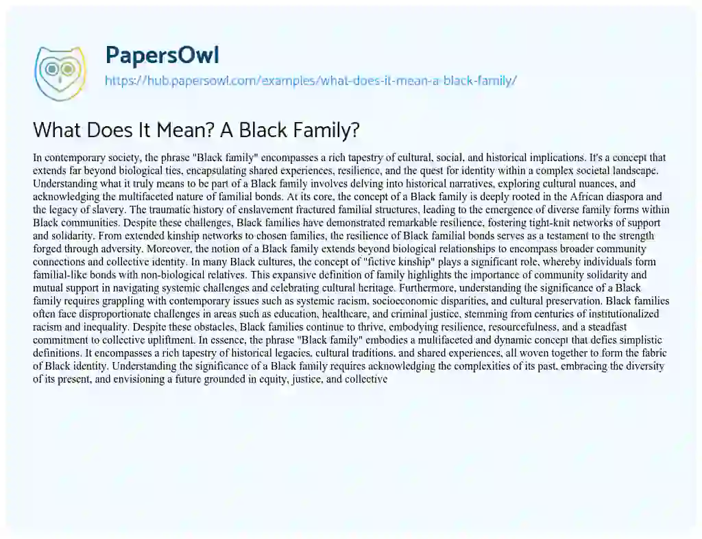 Essay on What Does It Mean? A Black Family?