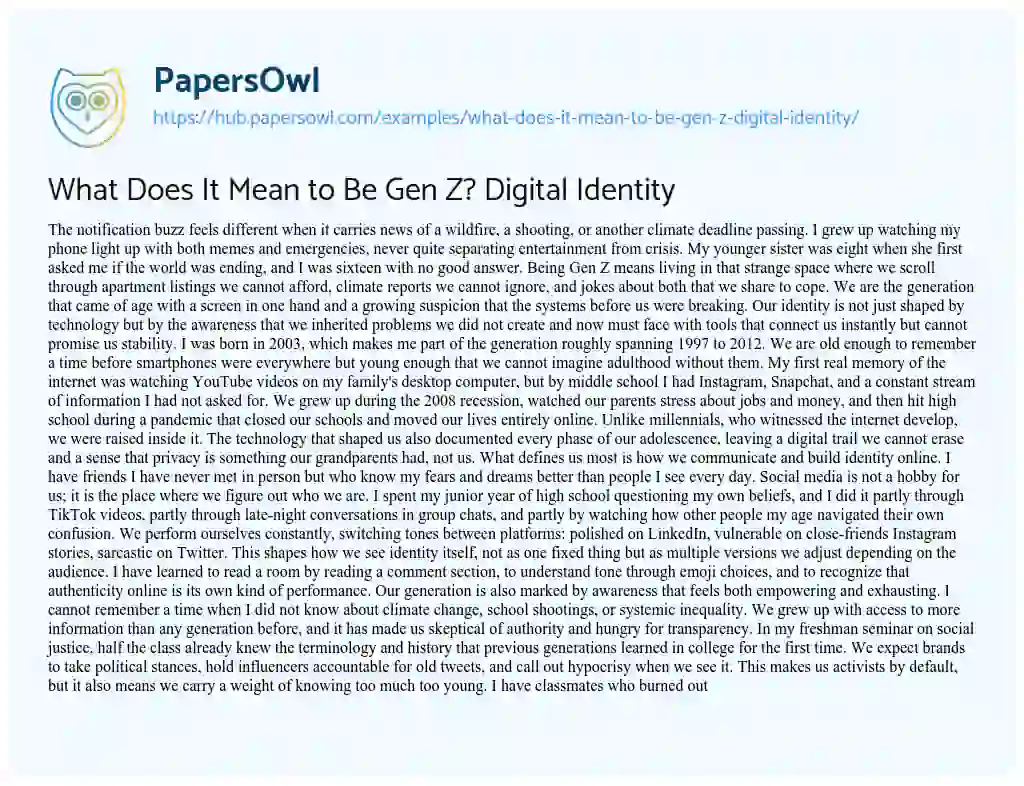 Essay on What Does It Mean to Be Gen Z? Digital Identity