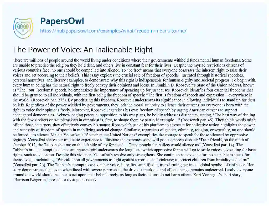 Essay on The Power of Voice: An Inalienable Right