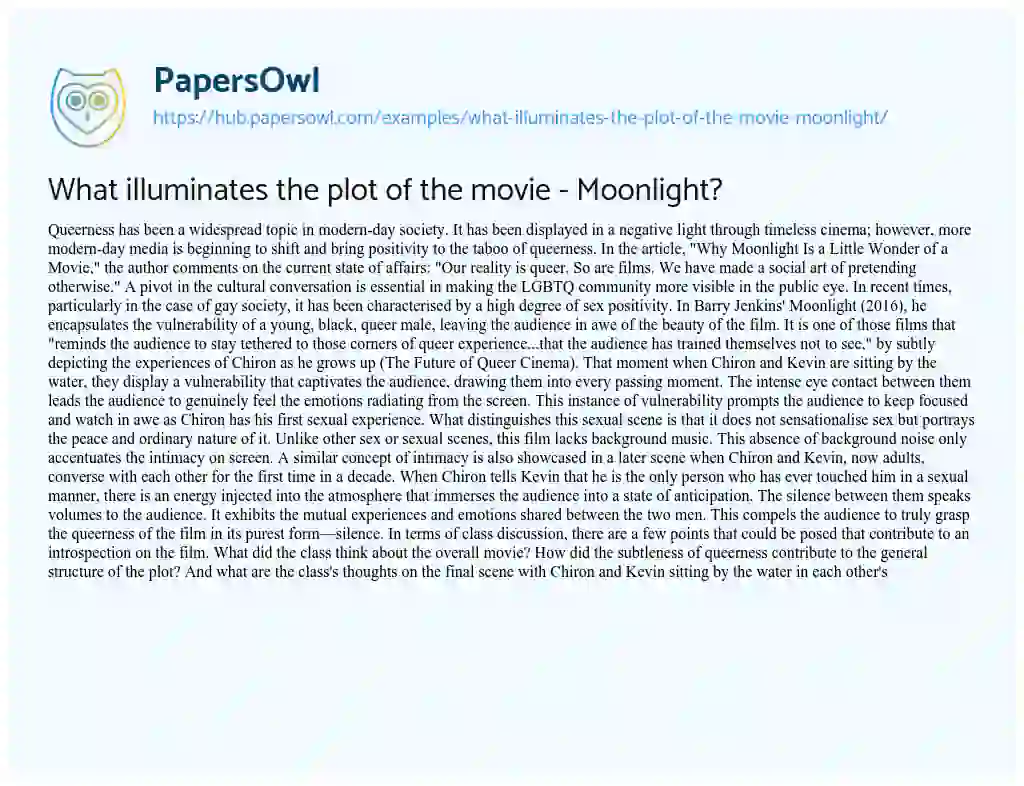 Essay on What illuminates the plot of the movie – Moonlight?
