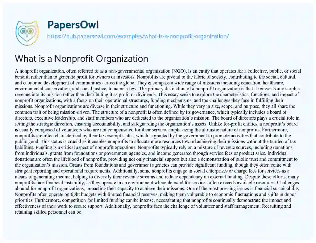 Essay on What is a Nonprofit Organization