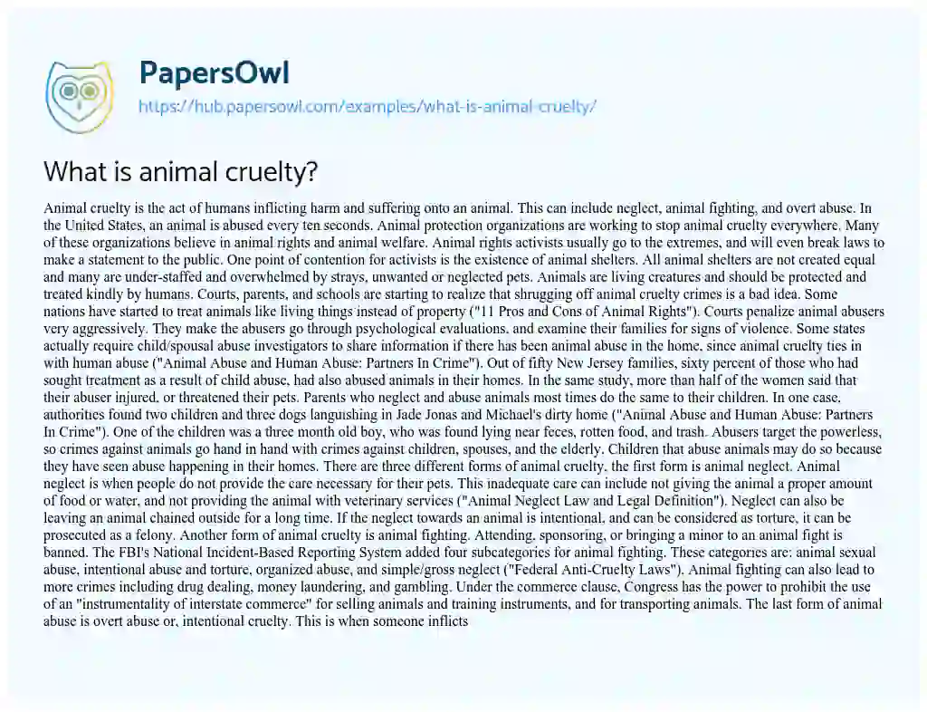 Essay on What is animal cruelty?