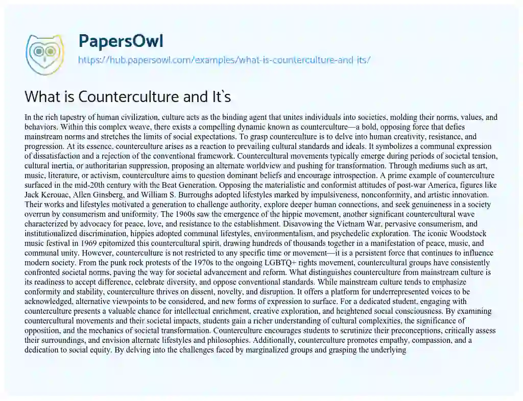 Essay on What is Counterculture and It`s
