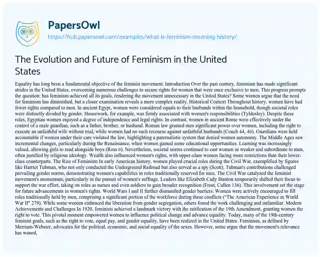 Essay on The Evolution and Future of Feminism in the United States