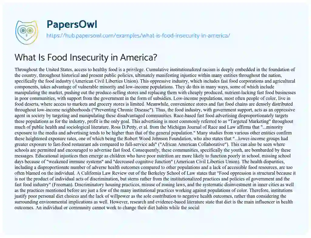 Essay on What Is Food Insecurity in America?