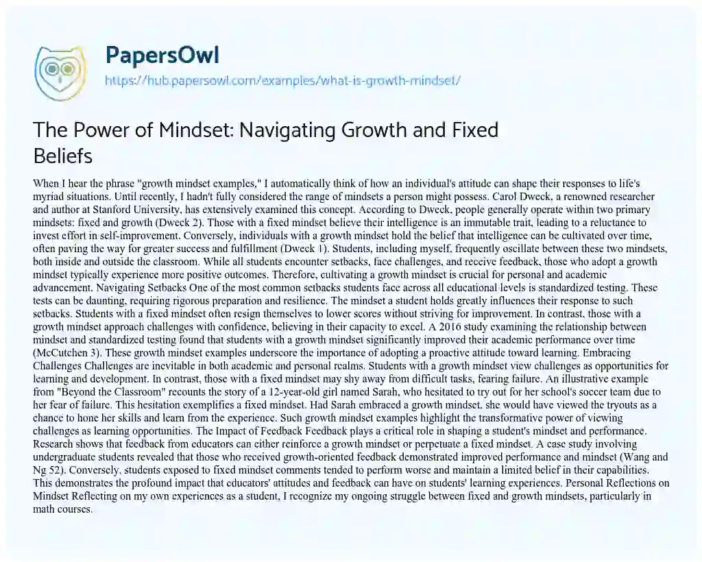 Essay on The Power of Mindset: Navigating Growth and Fixed Beliefs