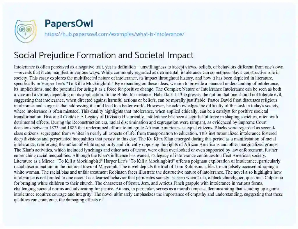 Essay on Social Prejudice Formation and Societal Impact
