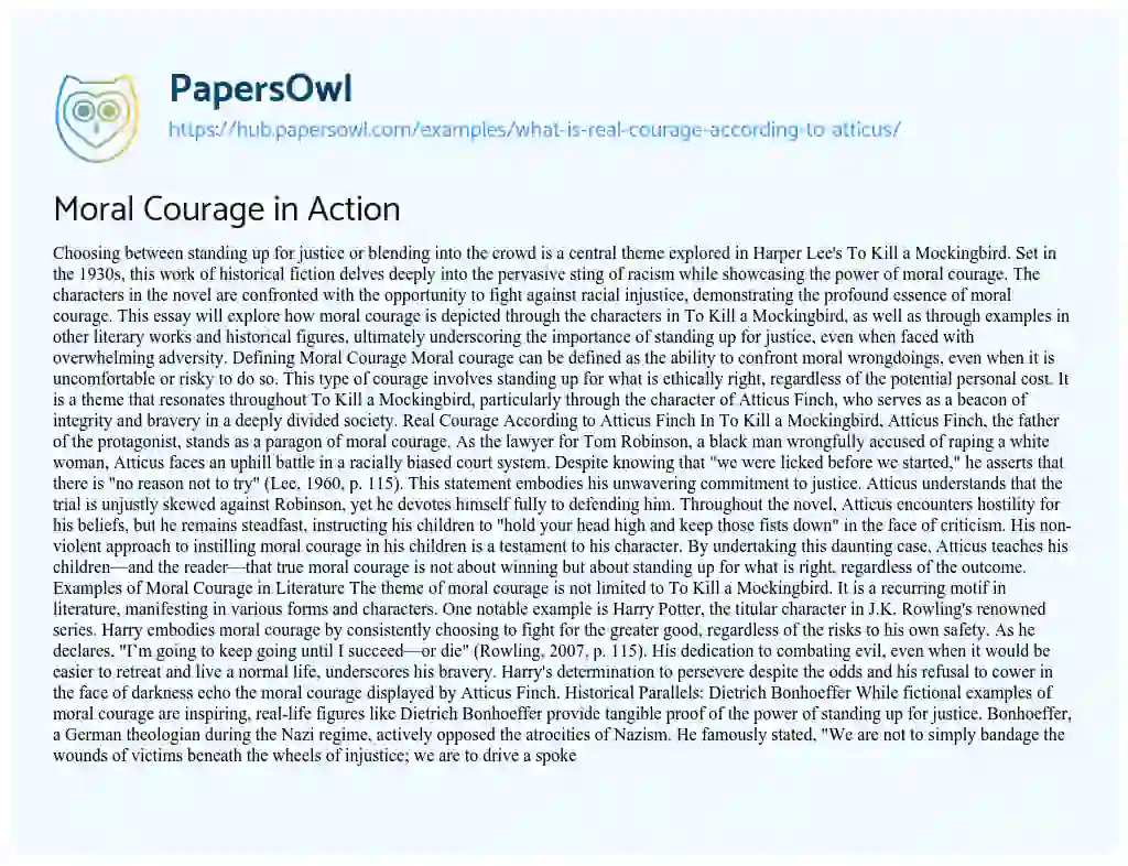 Essay on Moral Courage in Action