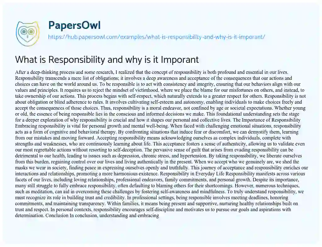 Essay on What is Responsibility and why is it Imporant