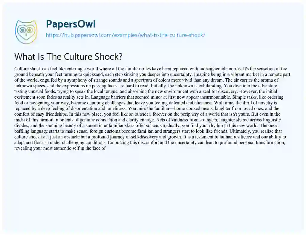 Essay on What Is The Culture Shock?