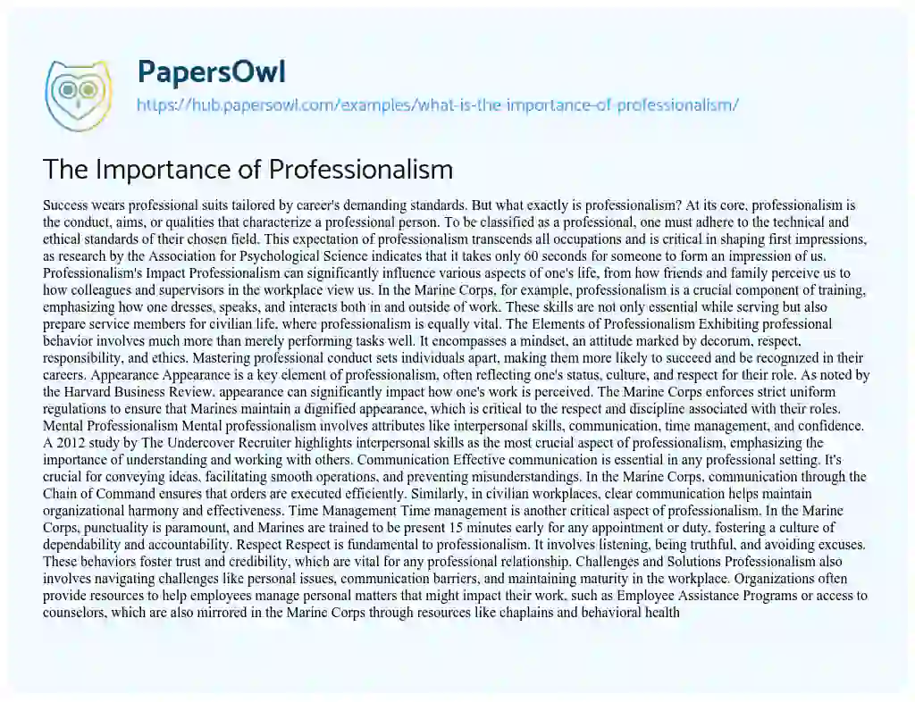 Essay on The Importance of Professionalism
