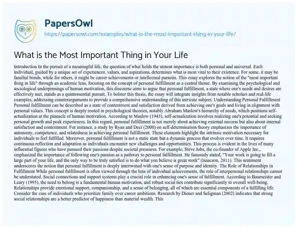 Essay on What is the Most Important Thing in Your Life