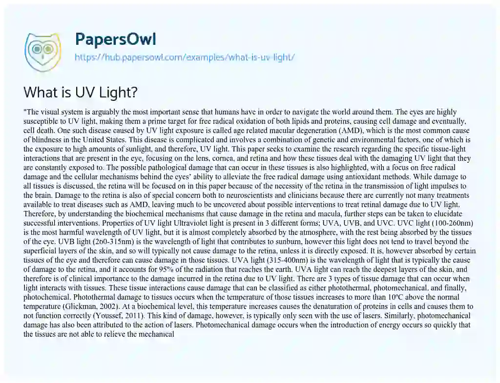 Essay on What is UV Light?