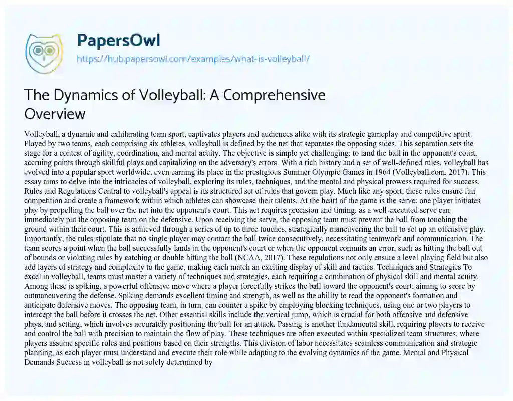 Essay on The Dynamics of Volleyball: A Comprehensive Overview
