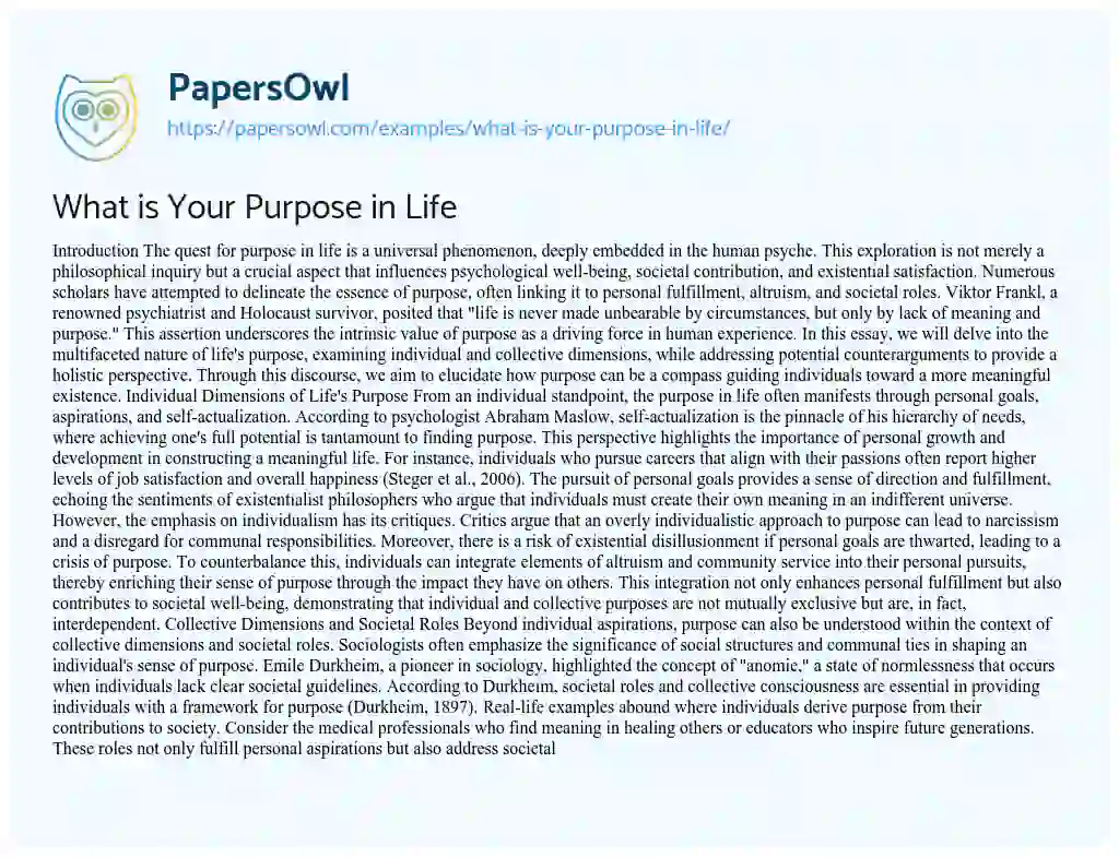 Essay on What is Your Purpose in Life