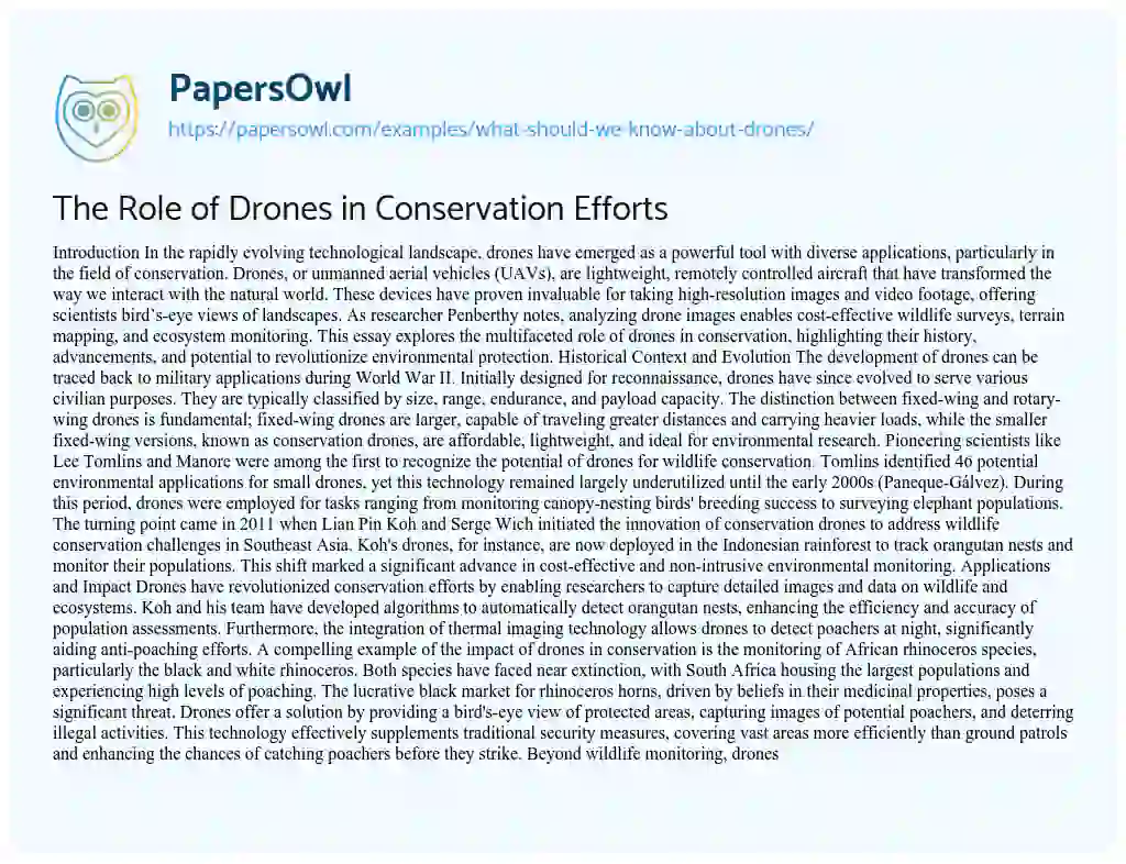 Essay on The Role of Drones in Conservation Efforts