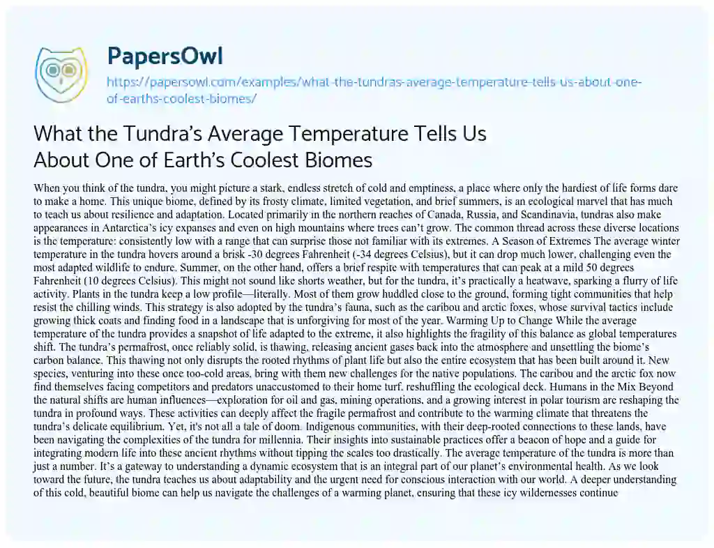 Essay on What the Tundra’s Average Temperature Tells Us About One of Earth’s Coolest Biomes