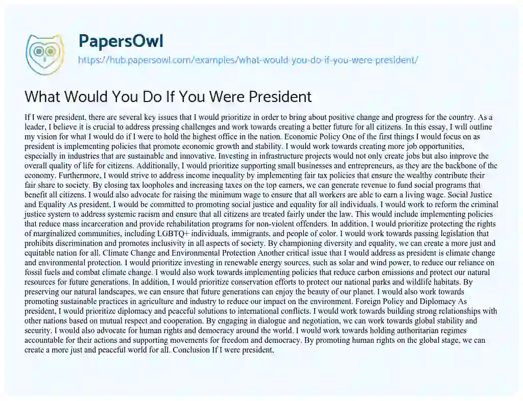 Essay on What Would You Do If You Were President